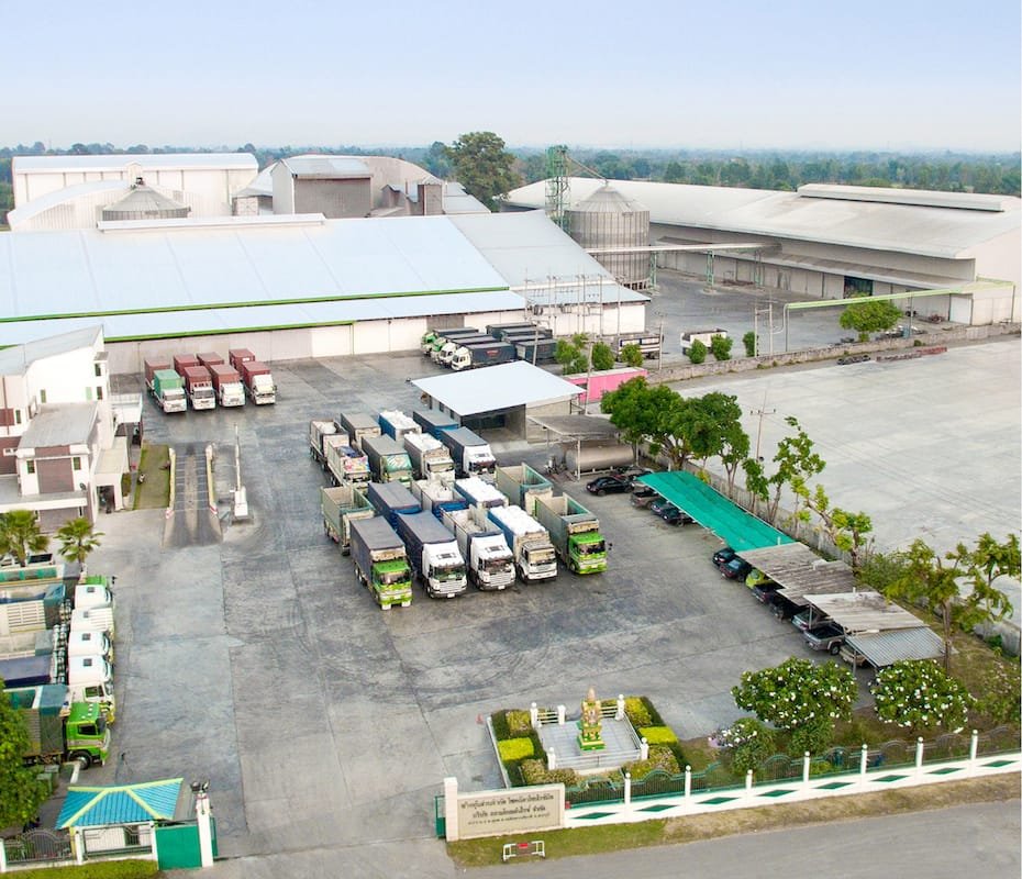 Best Thai Rice Company - JSC THAI EXPORTS