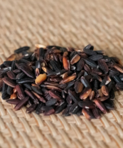 Thai Black Glutinous Rice for sale - JSC Thai Exports