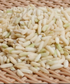 Brown Glutinous Rice - JSC Thai Exports