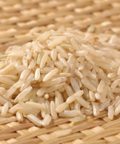 Brown Pathumthani Rice - JSC Thai Exports