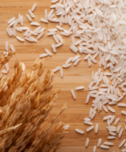 Thai Pathumthani Fragrant Rice - JSC Thai Exports