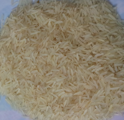 Best quality 1121 Sella Basmati Rice for sale - JSC Thai Exports